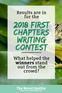 The 2018 First Chapters Writing Contest Winners - The Novel Smithy