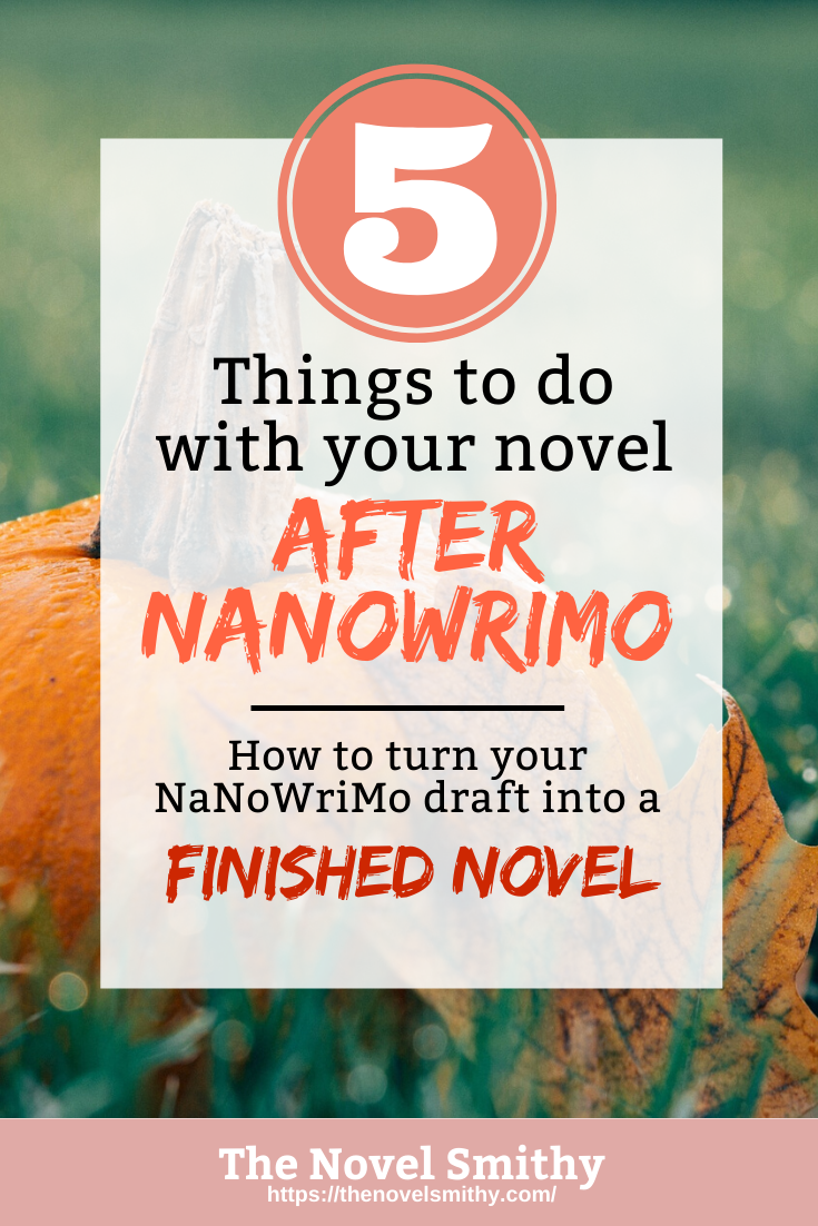 5 Things to Do with Your Novel After NaNoWriMo